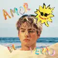 AMOR DE VERÃO