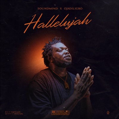 Hallelujah (feat. Ojadiligbo) - Single