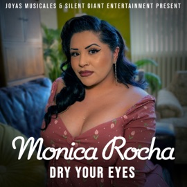Dry Your Eyes Monica Rocha