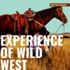 Instrumental Experience of Wild West