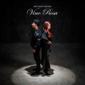 Vino Rosa artwork