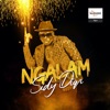 Sidy Diop - Ngalam
