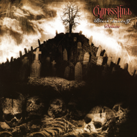 Insane in the Brain - Cypress Hill Cover Art