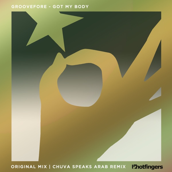 Got My Body - Single