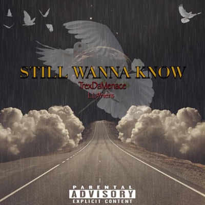 Still Wanna Know - Single