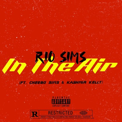 In th Air (feat. Ka$hmir Kelly & Cheebo Sims) - Single
