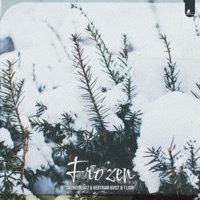 Frozen - Single - Bertram Kvist, Skengybeatz & T.Lion