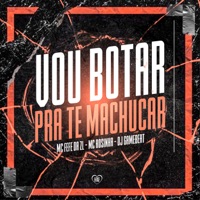 Vou Bota pra Te Machucar - Single - MC Fefe Da ZL, dj game beat & MC Rosinha