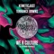 We R Culture (feat. Terrance Downs) [DJ Spinna Galactic Soul Remix] artwork