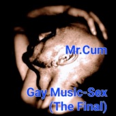 Gay Music - Sex (The Final) artwork