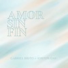 Amor Sin Fin - Single