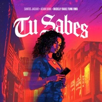 Tu Sabes (feat. Adam Banx & OKDELLY) [Baile Funk Remix] - Single - Santos Jaguar