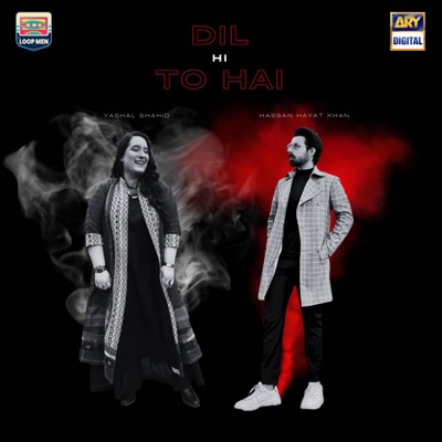 Dil Hi To Hai (Original Sound Track) - Single