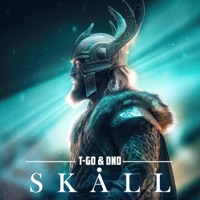 Skåll - Single - Dj T-go & DND