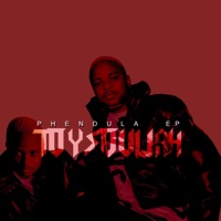 Phendula - Toy Souljah