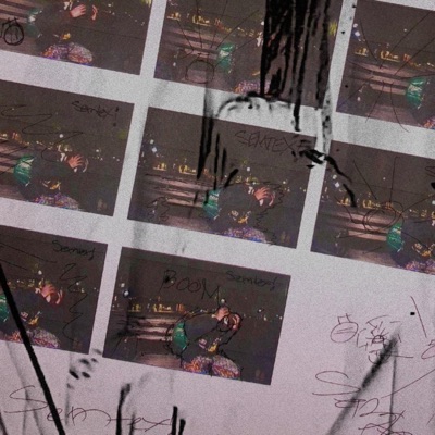 (╯^□^)❄☃❄ - Single