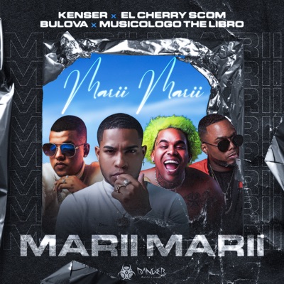 Marii Marii (feat. Musicologo The Libro) - Single