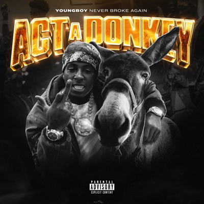 Meaning of Act A Donkey by YoungBoy Never Broke Again