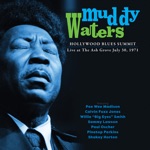Muddy Waters - Strange Woman