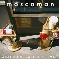 What Do We Care (Feat. Tom Sanders) — Moscoman
