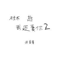对不起我还爱你2 - Single - Echo