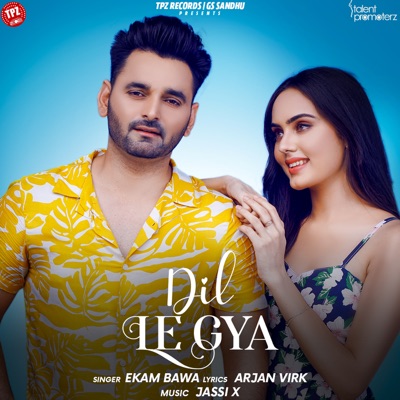 Dil Le Gya (feat. Himanshi Parashar) - Single
