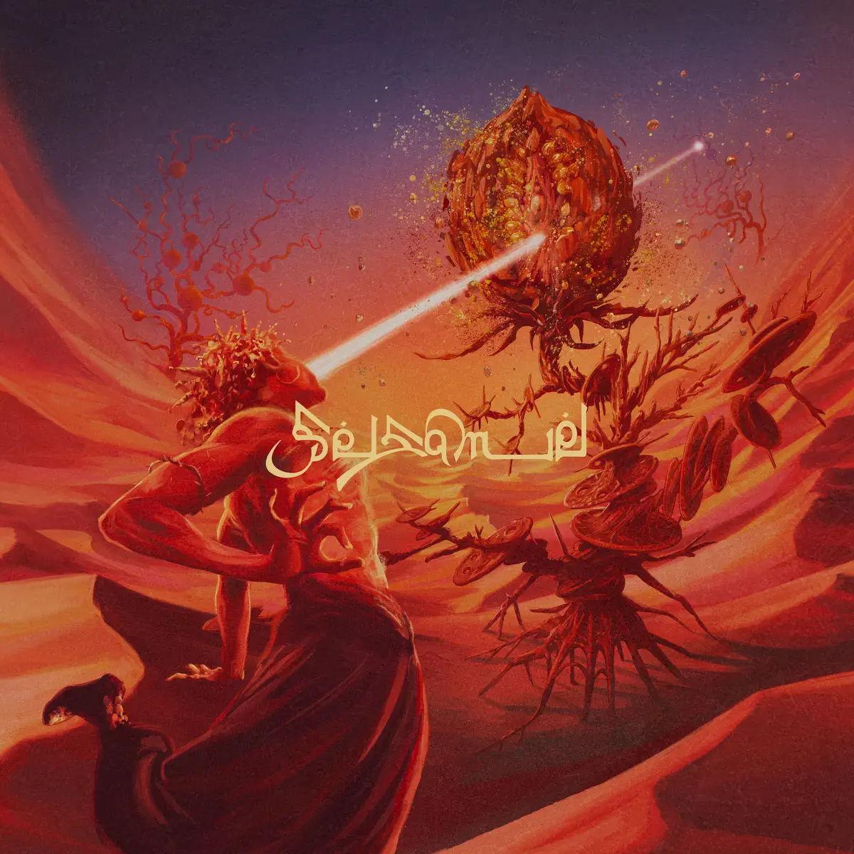 Kroi - Sesame - EP (2024) [iTunes Plus AAC M4A]-新房子