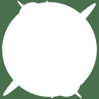 lady zaza - Single - Bnran