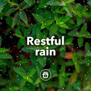 Restful Rain - EP