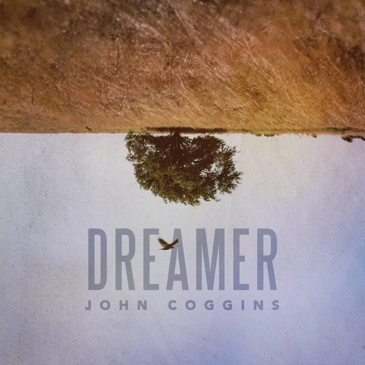 John Coggins - Dreamer (2017) [iTunes Plus AAC M4A]-新房子