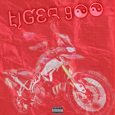 Tiger 900 - Single