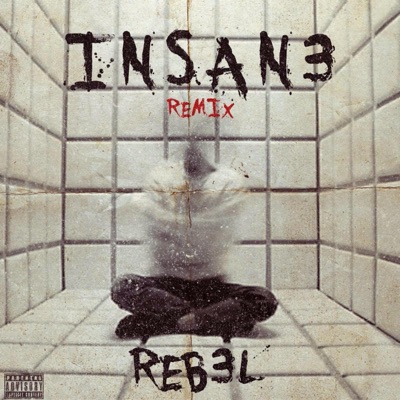 Insan3 - Single