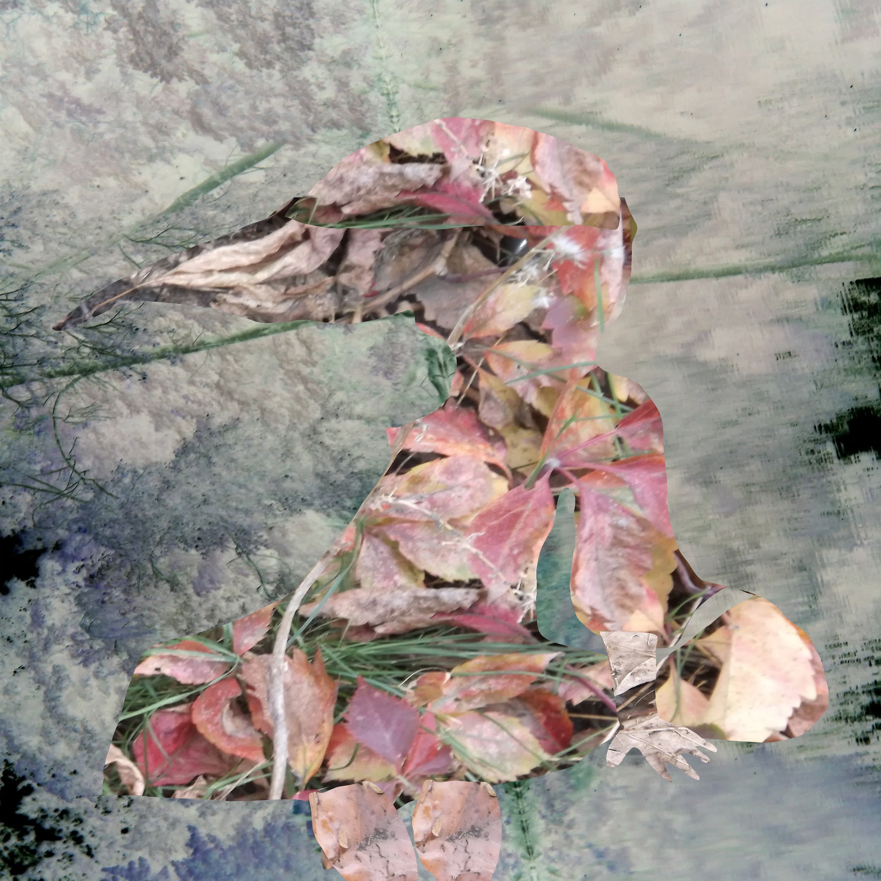 We Walked Along the Shore