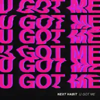U Got Me — Next Habit