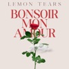 Bonsoir Mon Amour - Single