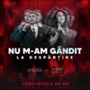 Nu m-am gandit la despartire (Cristi Nitzu & NA-NO Remix) - Single