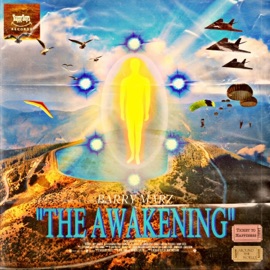 Mental Hooping Barry Marz