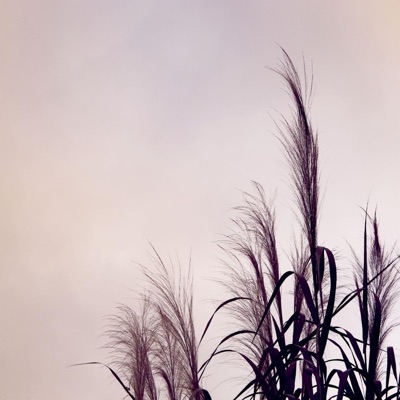 Improvisation In Autumn - Single