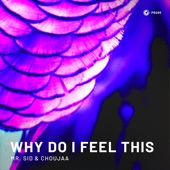 Why Do I Feel This (Extended Mix) artwork