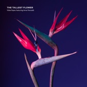 The Tallest Flower (feat. Anna Pancaldi) artwork