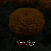 Sam's Song (feat. Y.T. & Heavy L Beatz) - Single - Prash