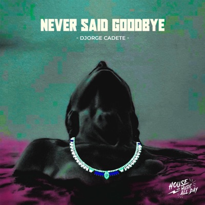 Never Said Goodbye - Single