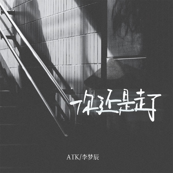 你还是走了 - Single