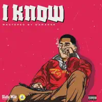I Know — Shatta Wale