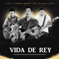 Vida de Rey - Single - Los Sobrinos De Sinaloa