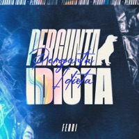 Pergunta Idiota - Single - Ferri