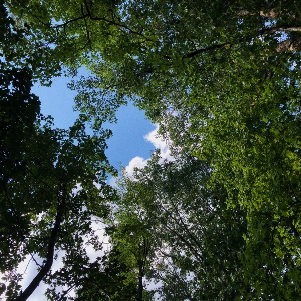 New Day