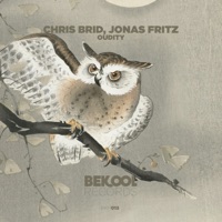 Oudity - Single - Jonas Fritz & Chris Brid