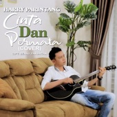 Cinta Dan Permata (Cover) artwork