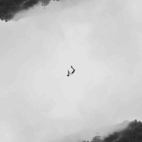 Fall - Single - Lil Flax